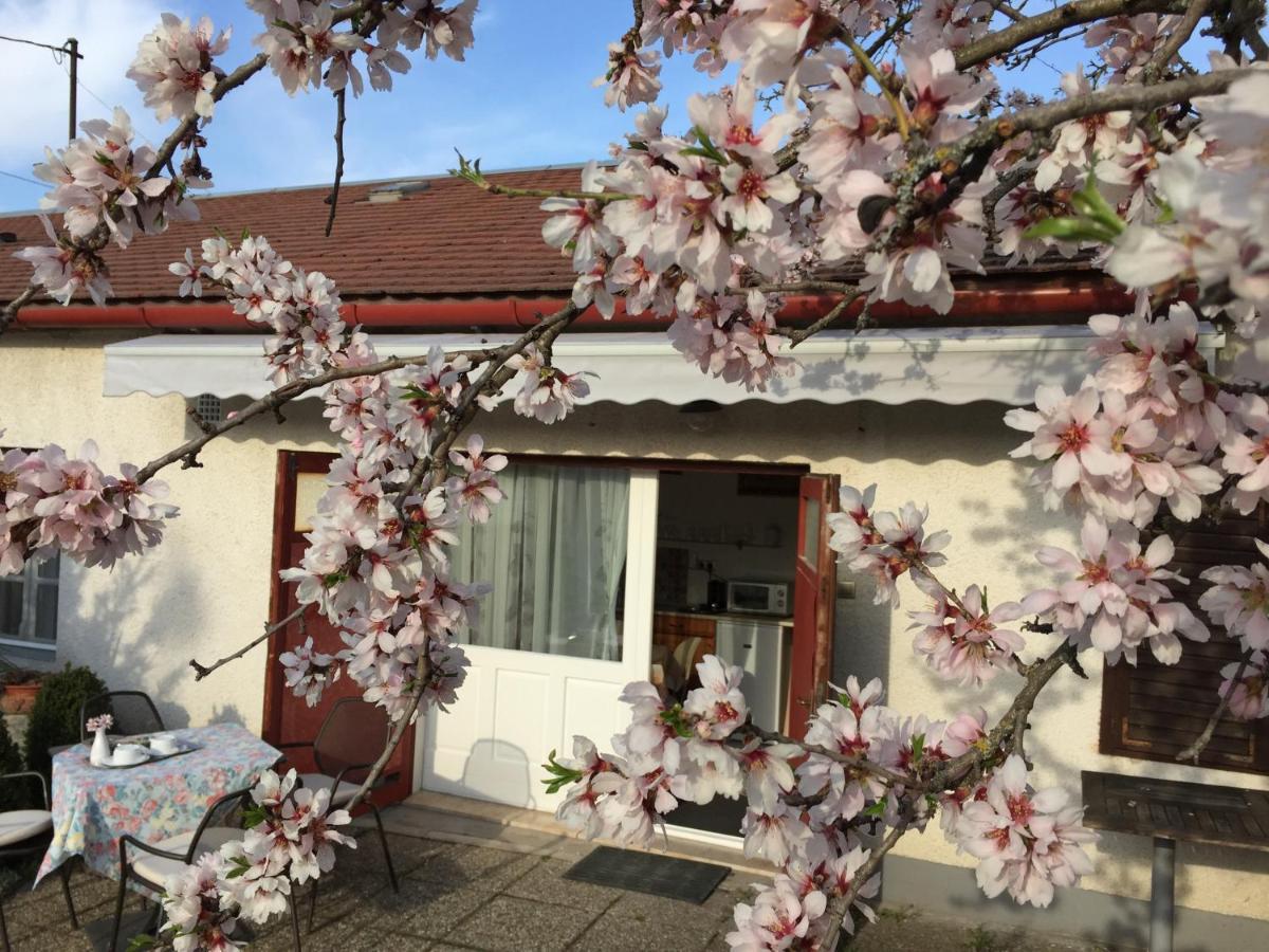 Mandula Haz Hotel Veszprem Ngoại thất bức ảnh